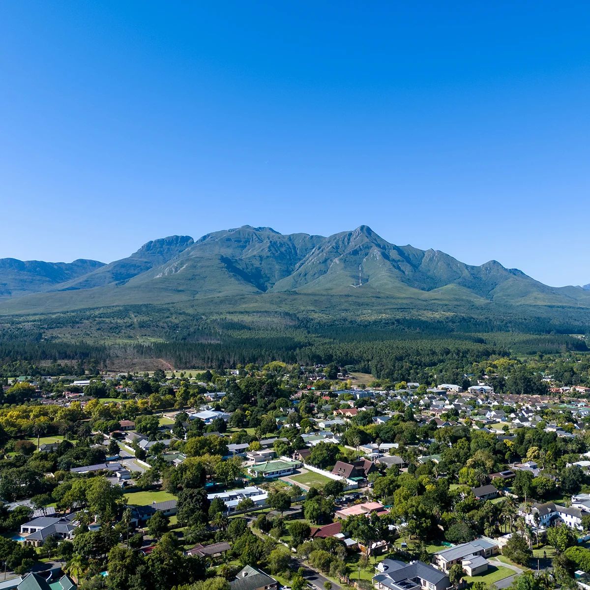 Indigenous forest and mountains near George on the Garden Route