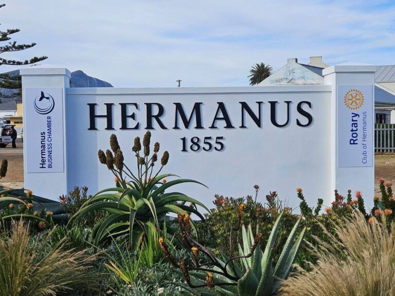 Hermanus
