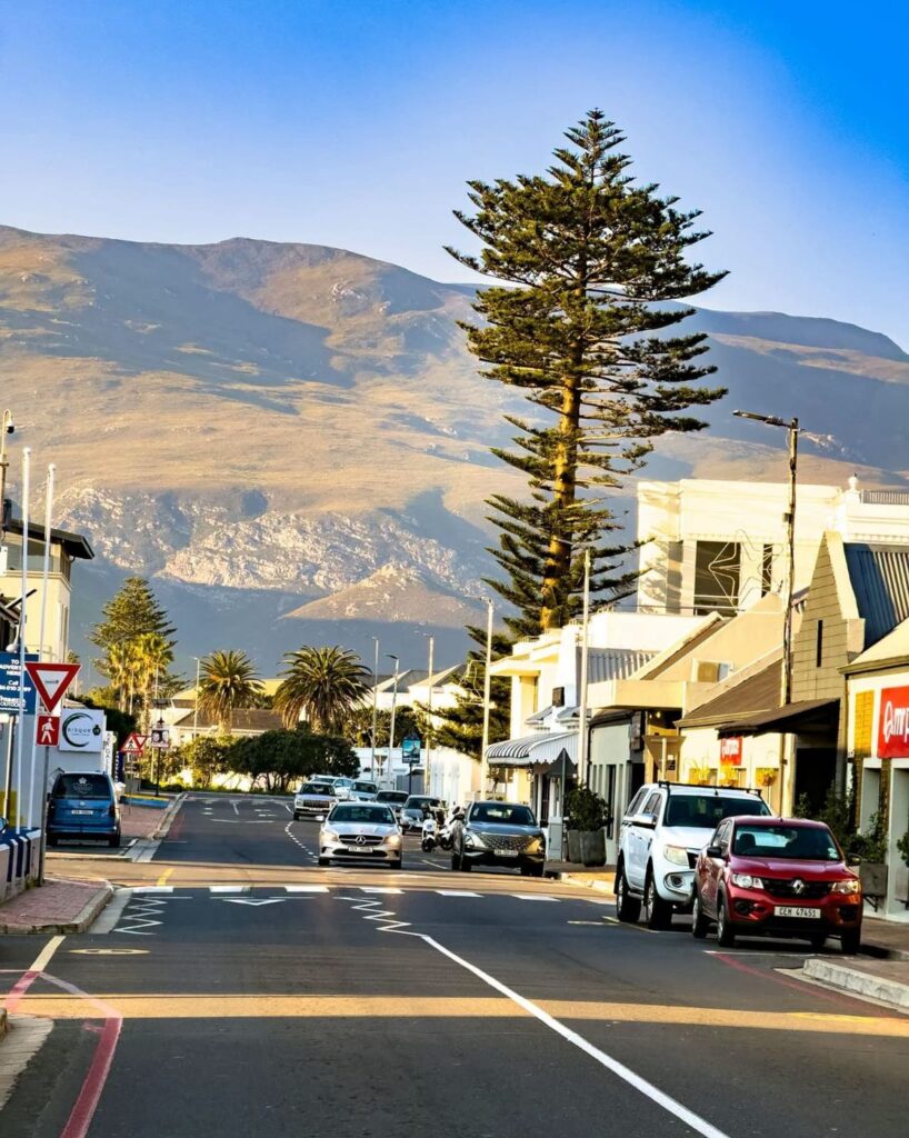 Hermanus town centre seen from above